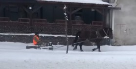 Un drumar ingenios şi-a înhămat calul la sanie şi a început să curăţe trotuarele de zăpadă